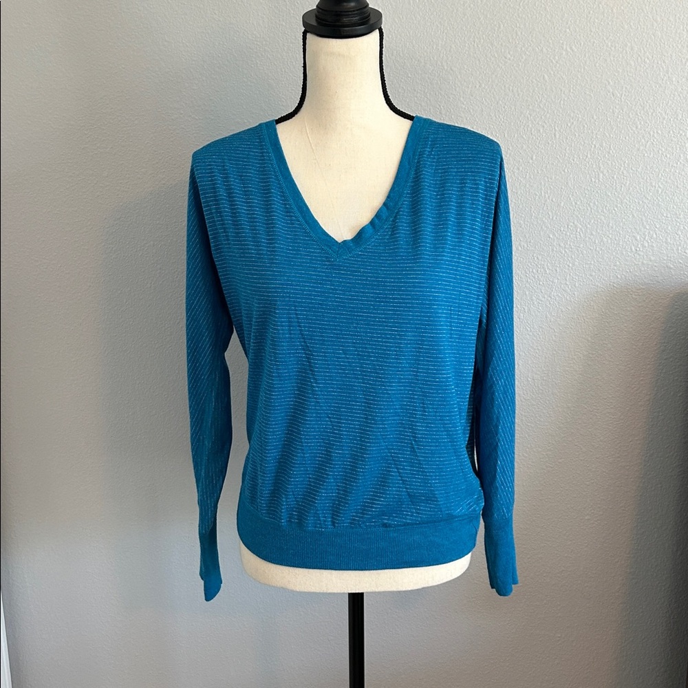 American Eagle Outfitters Blue and Silver Striped V-Neck